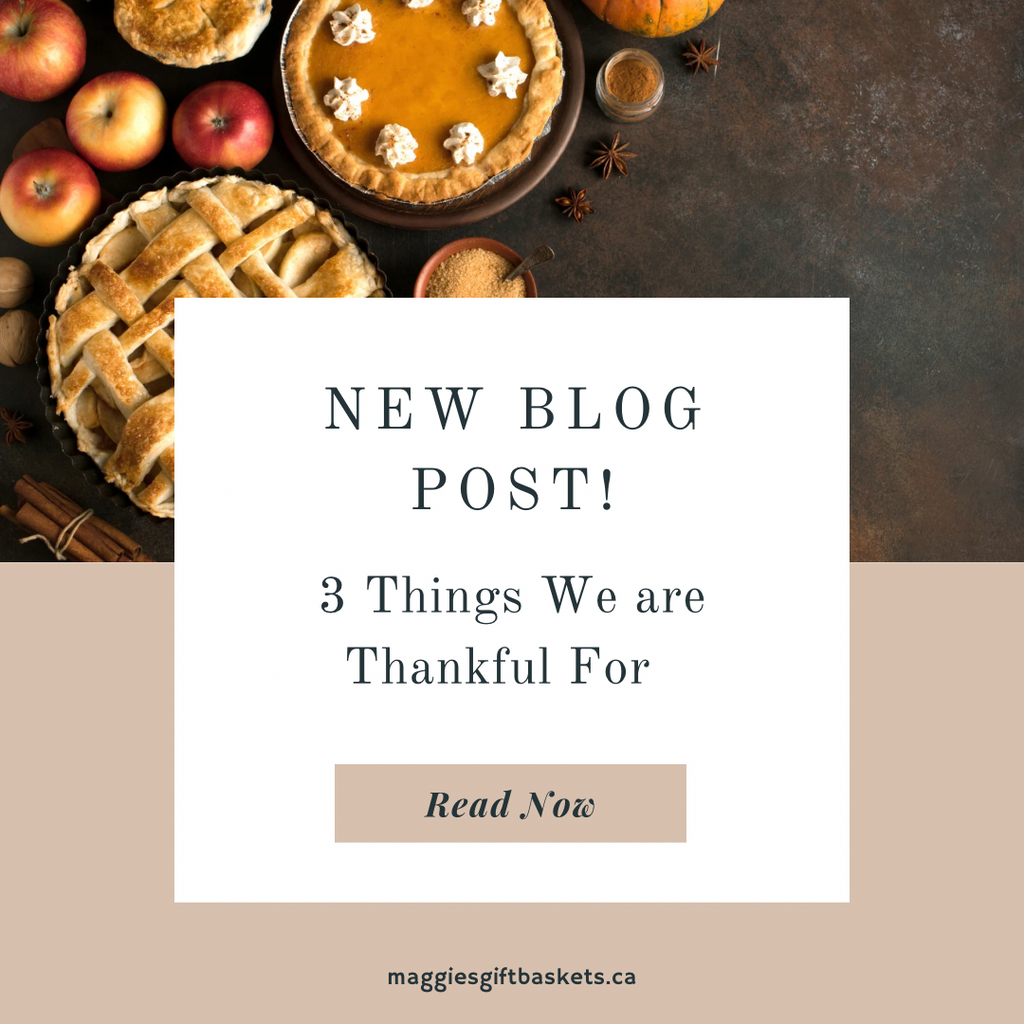 3 Things We Are Grateful For This Thanksgiving