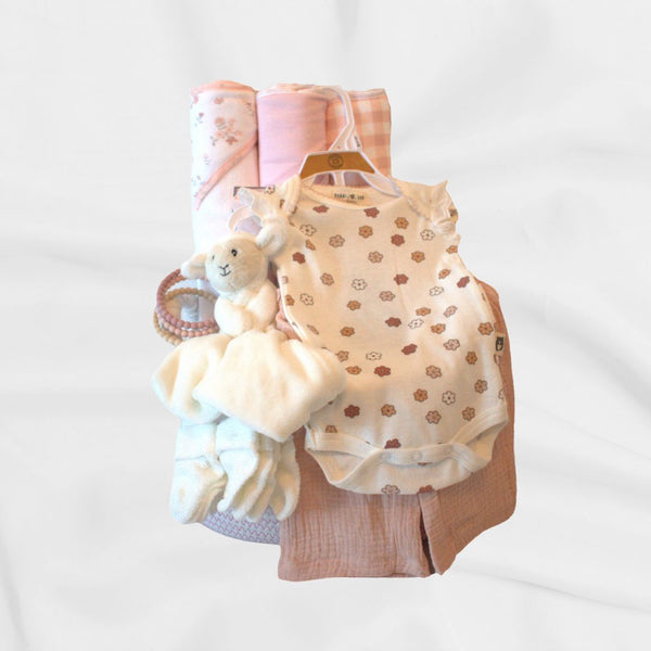 Baby Gift Basket: Blush
